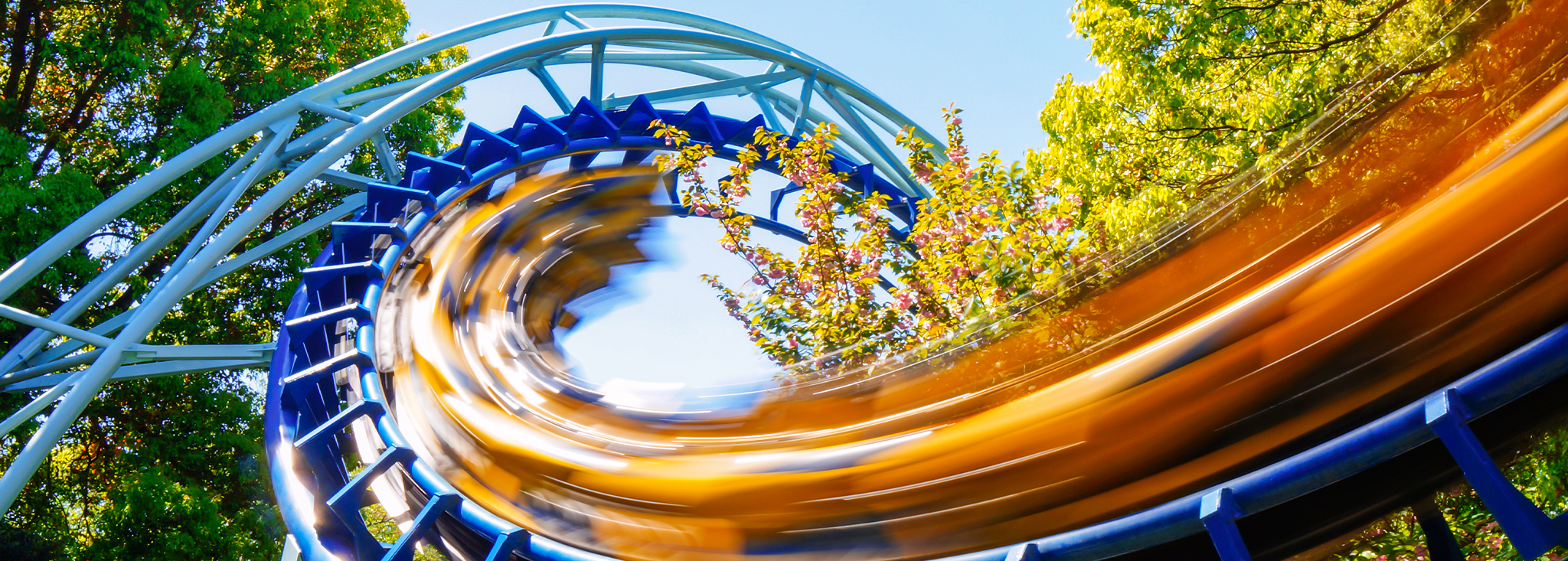 The Differences Between Theme Parks and Amusement Parks