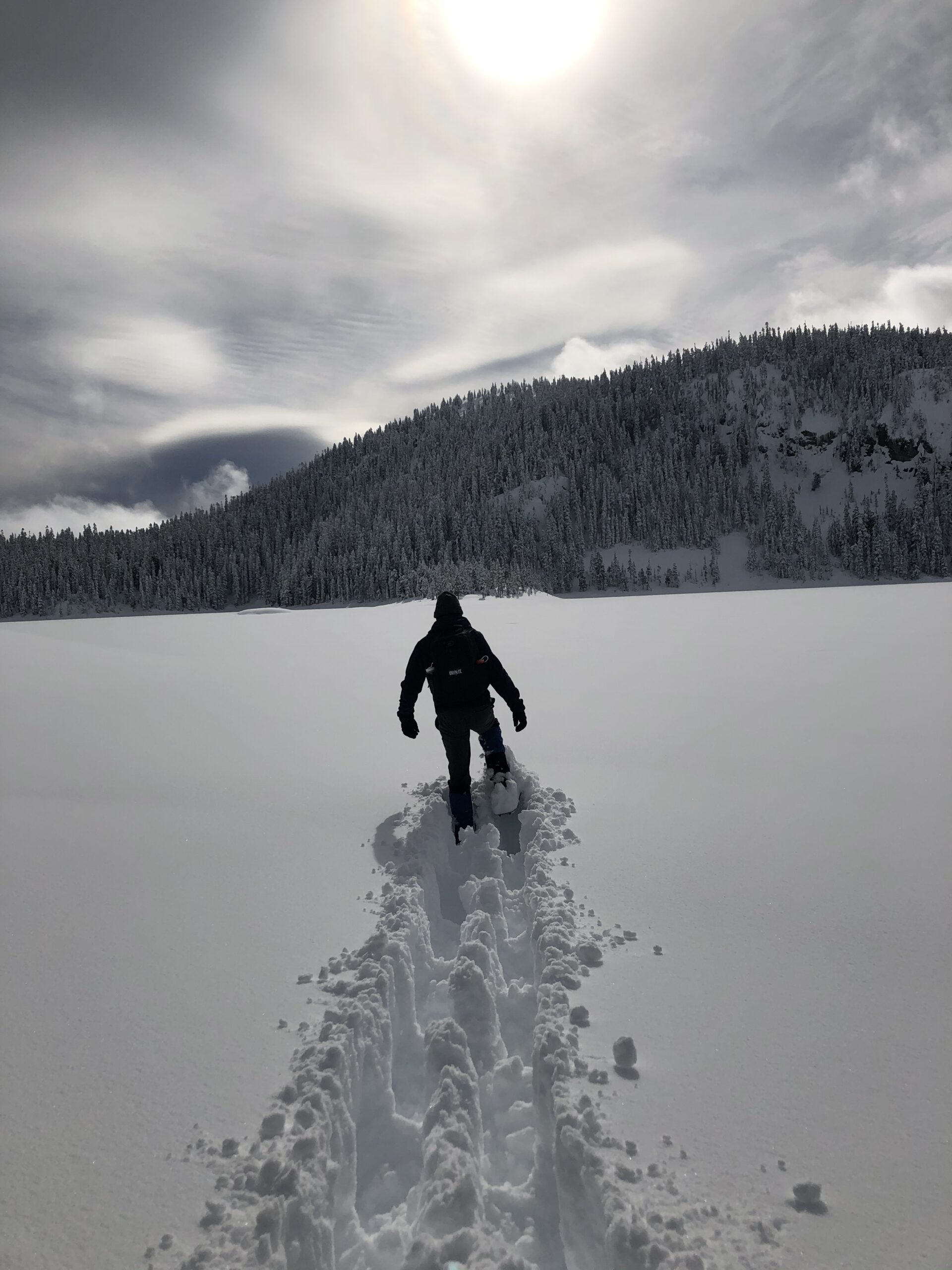 Al walks away from the camera in deep snow