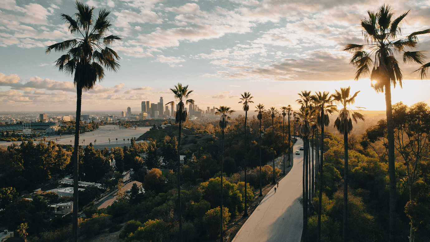 A scenic view of palm trees in California.